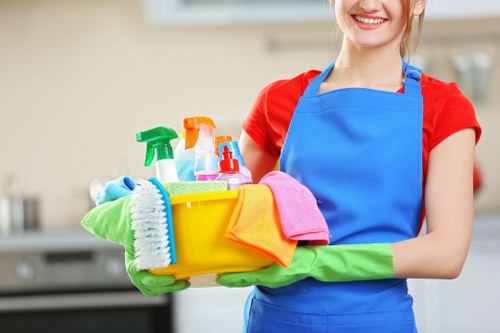 Professional cleaning routine for an office or business in Edgware