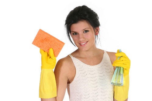 Supplier due diligence and audit process for cleaning services