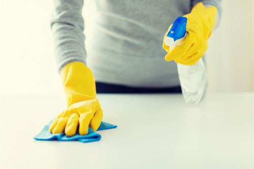 Domestic cleaning in a flat or family home in Edgware