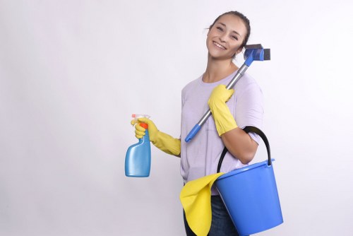 Professional builders clean for a refurbished property in Edgware