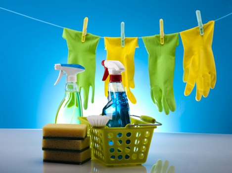 Deep cleaning equipment used for pet odour removal on upholstery