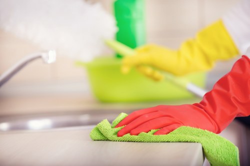 Cleaner removing grease from an oven door glass